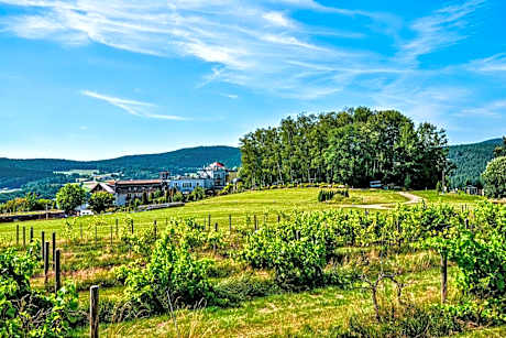 Spirit & SPA Birkenhof am Elfenhain