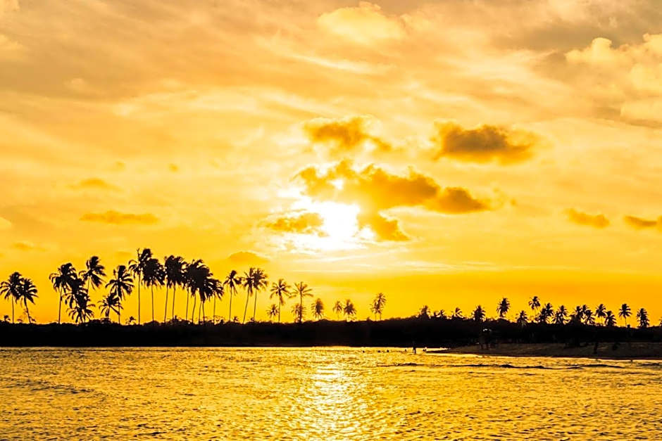 Studio em Porto de Galinhas - vista p Piscina