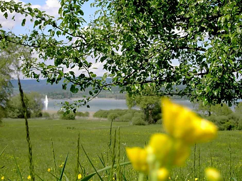 Historisches Gasthaus Hotel Hirschen Horn
