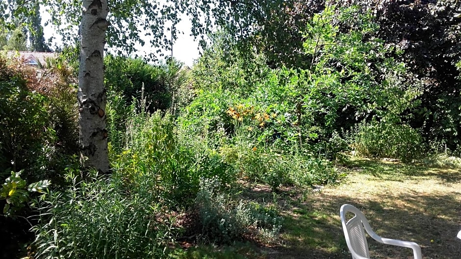 Chambres du Jardin Fleuri