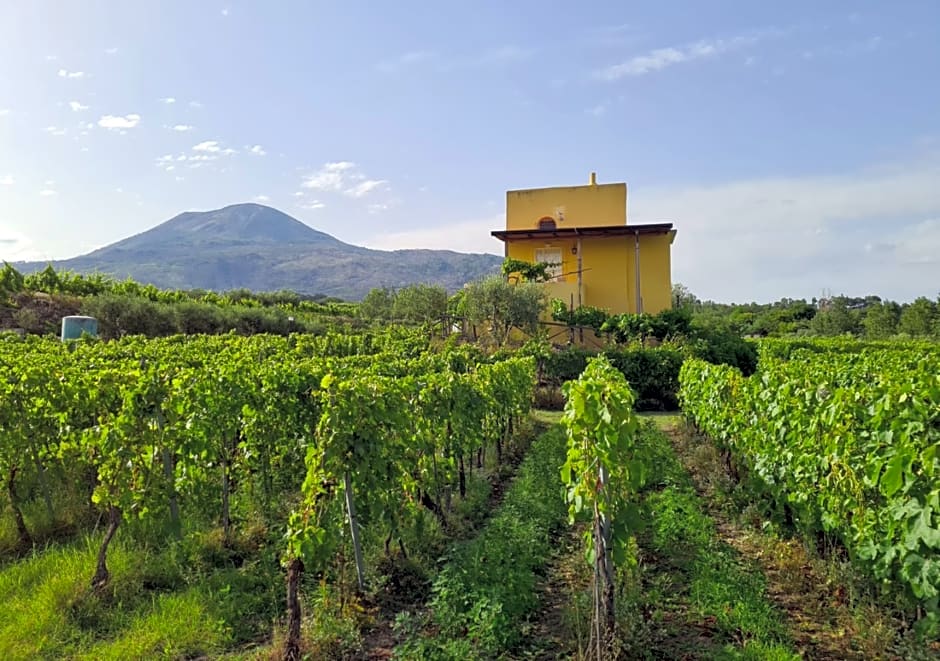Vesuvio Inn Bed & Wine Experience