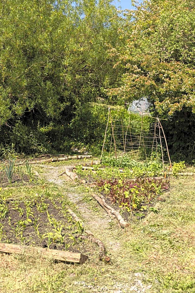 The Common Knowledge Centre