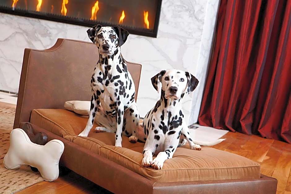 Renaissance by Marriott Atlanta Midtown Hotel