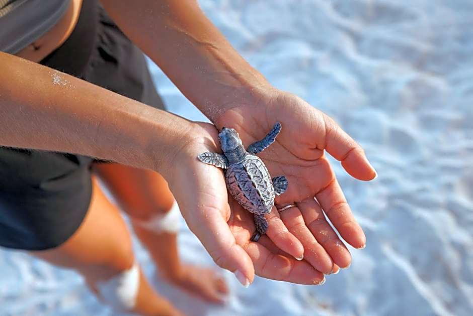 Sandals Barbados All Inclusive - Couples Only