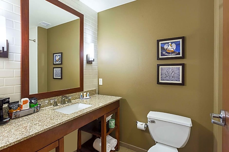 Comfort Inn & Suites Zachary