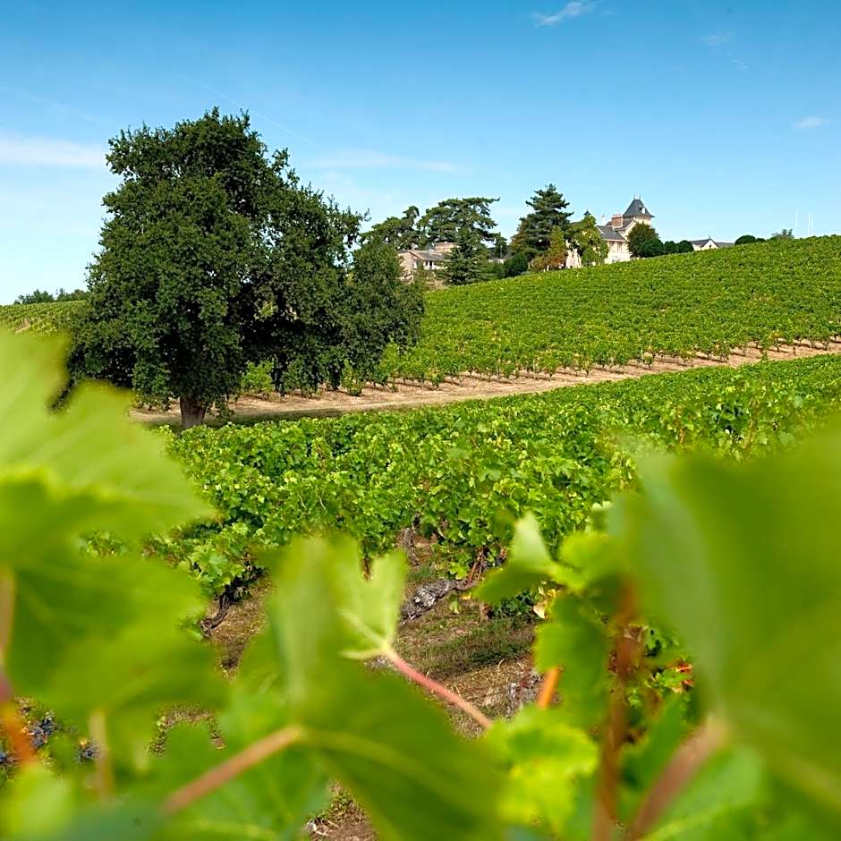 Domaine de la Soucherie - Chambres d'hôtes