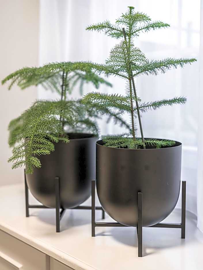 Traube Restaurant & Hotel