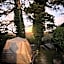 Flying Fox Backpackers
