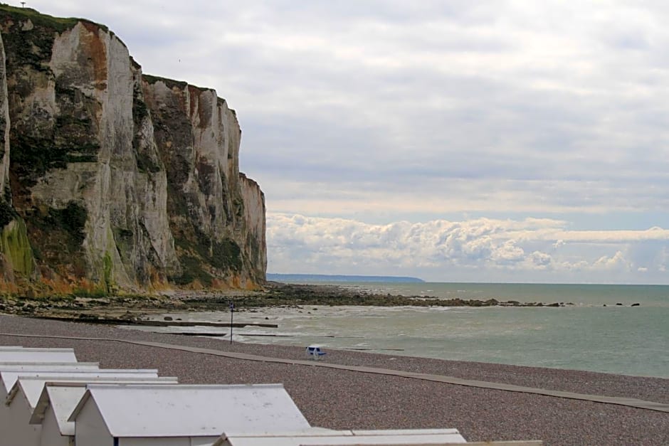 Le chant des oiseaux