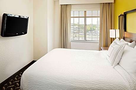 1 Bedroom Queen Suite, 1 Bedroom Suite, Queen, Non-Private Sofa Bed