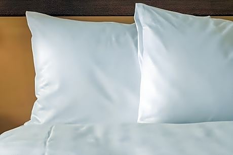 Standard One-Bedroom Apartment