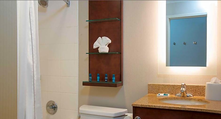 Delta Hotels by Marriott Kalamazoo Conference Center