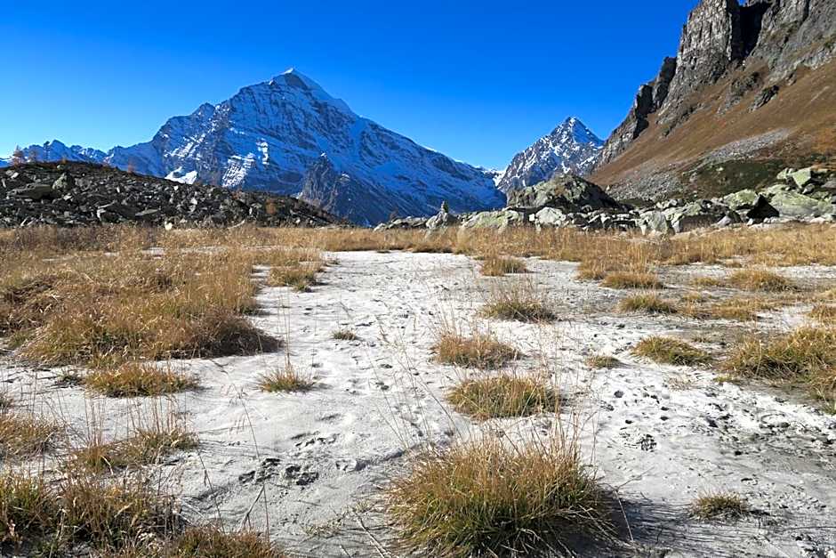 B&B Alpe Veglia