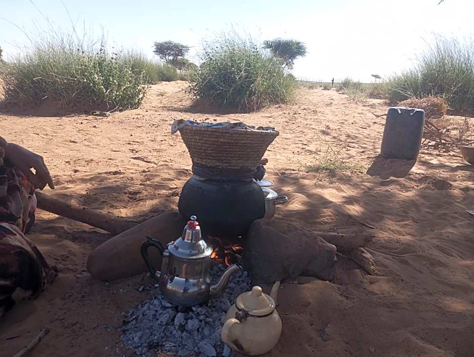 Bivouac beauté du désert