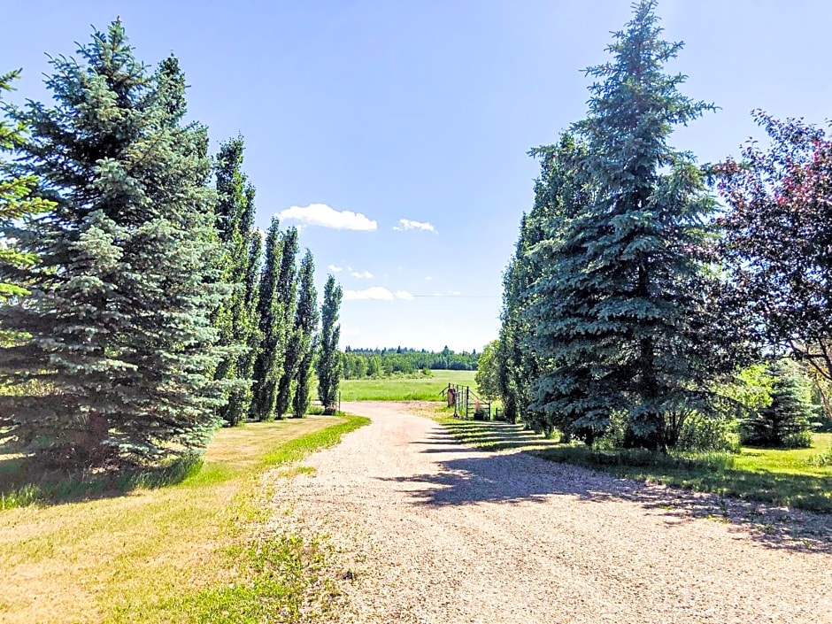 Wolf Creek Bed and Breakfast