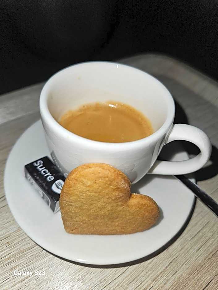 greet Hotel Castres Saix