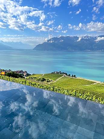 Baron Tavernier Hotel Restaurant & SPA