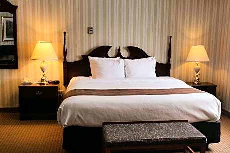 1 King Bed, Business Room, Efficiency, Suite, Nonsmoking