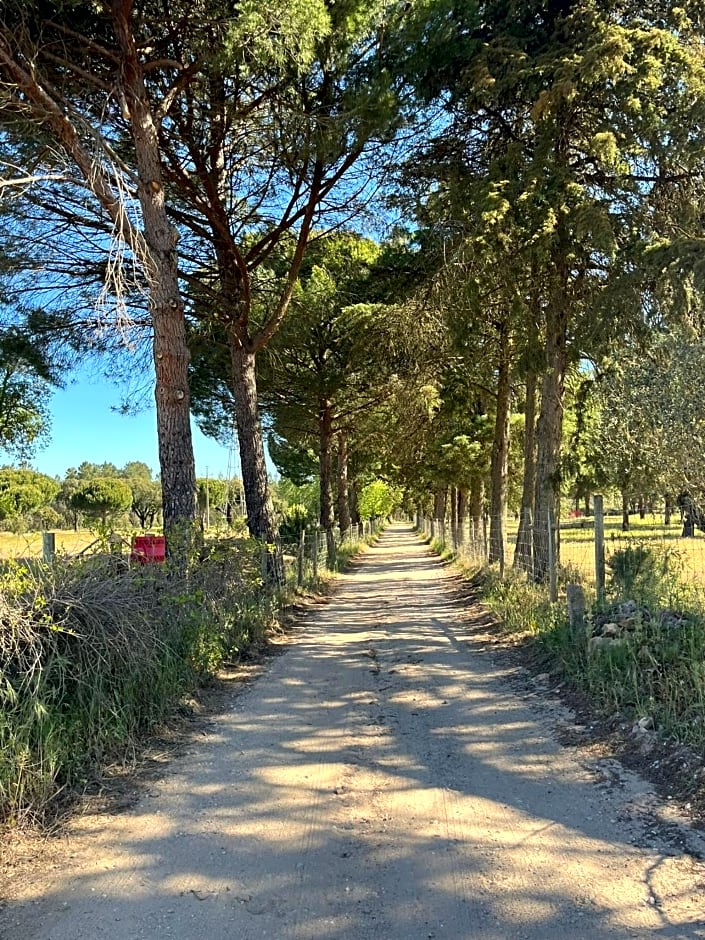 AmendoeirasHouse-SustainableLiving