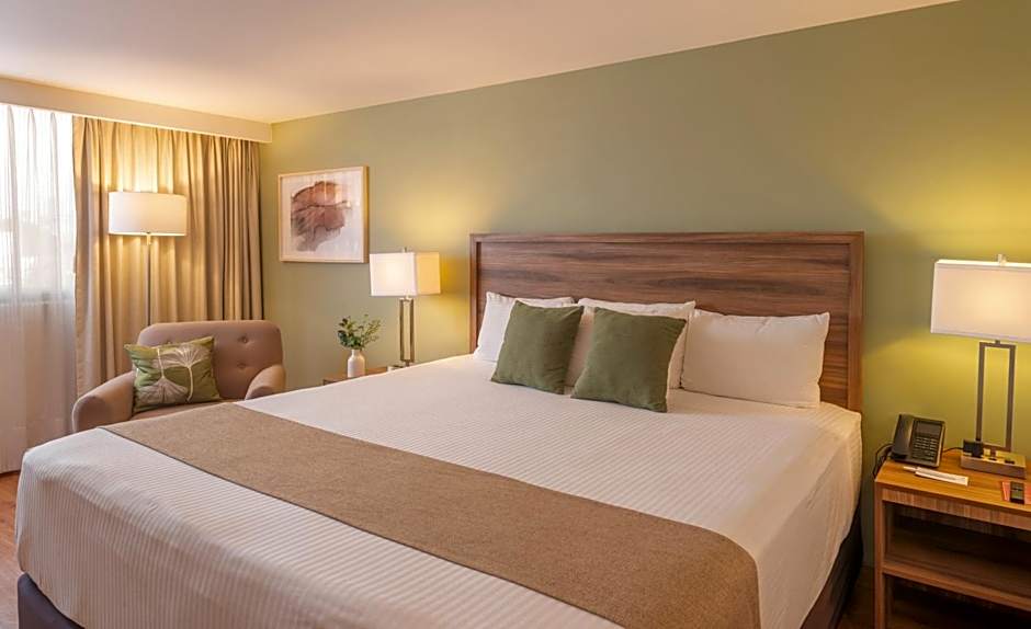 Stanza Hotel