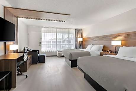Quadruple Room with Two Queen Beds and Sofa - Non Smoking