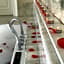 Vinifera Ephesus Hotel