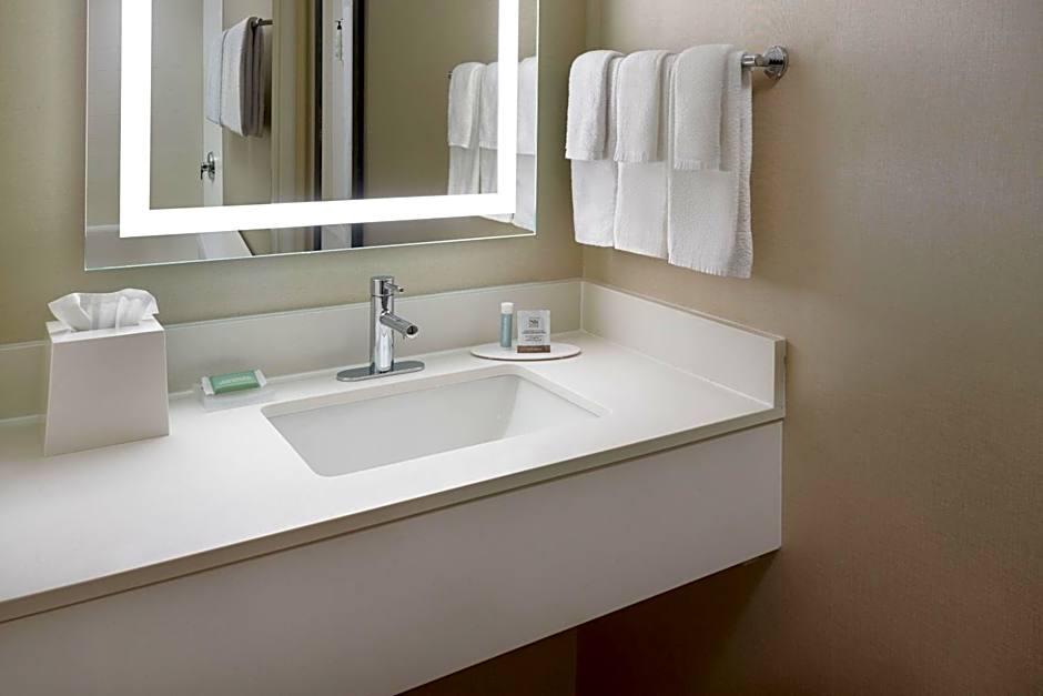 SpringHill Suites by Marriott Raleigh-Durham Airport/Research Triangle Park