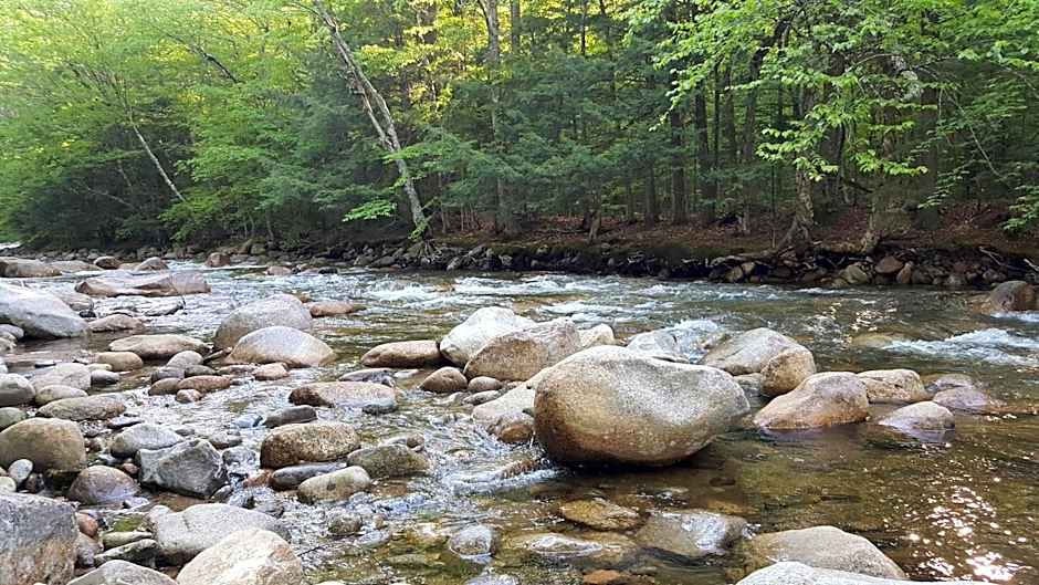 Franconia Notch Motel