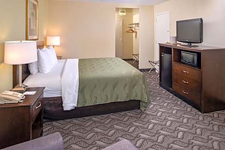 Standard Room, 1 King Bed, Accessible, Roll-In Shower, Non Smoking