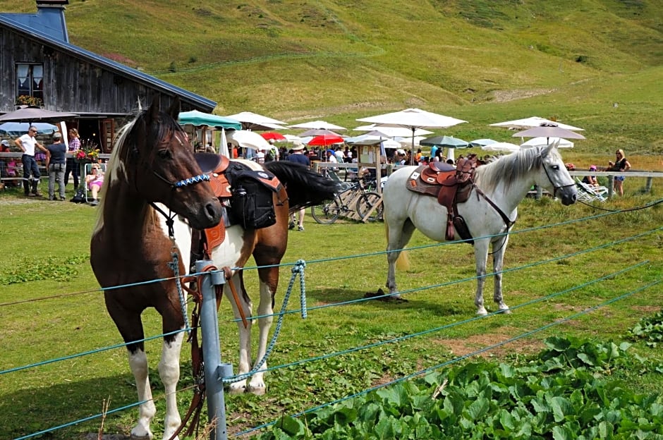 Chalet Arpitan - rentals