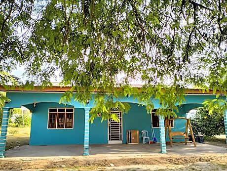 Rumah Tumpangan NZ 2