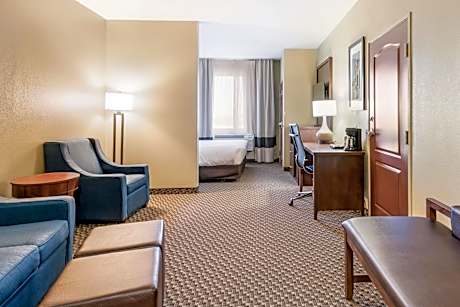 King Suite with Roll-in-Shower - Accessible/Non-Smoking