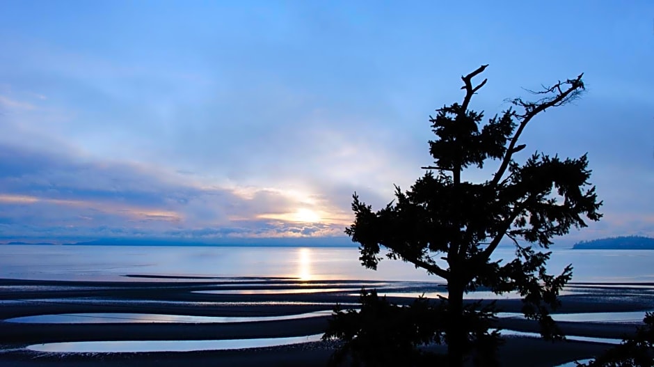 Raintree's Sandcastle, Birch Bay