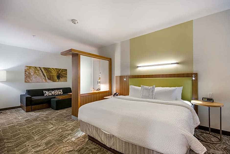 SpringHill Suites by Marriott Enid