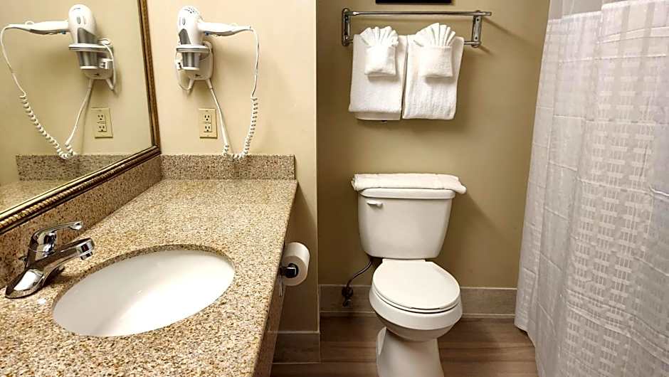 Comfort Inn & Suites Mount Pocono