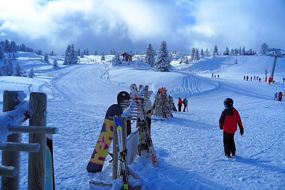Chalet Hôtel du Bois