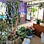Hotel Lipa