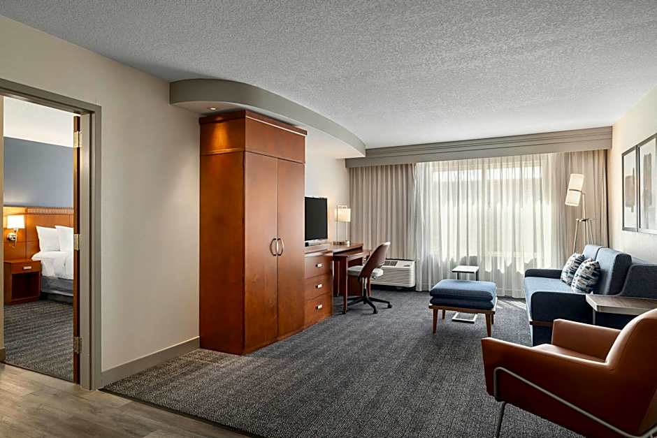 Photo 1 of 11 of 1 Bedroom 1 King Bed with Sofabed Suite