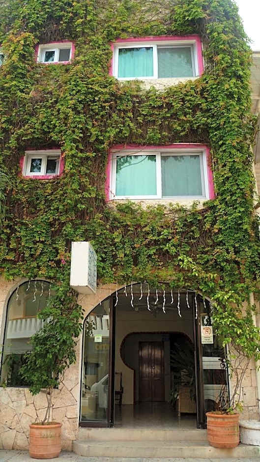 Boutique Hotel Delfin 5th Avenue