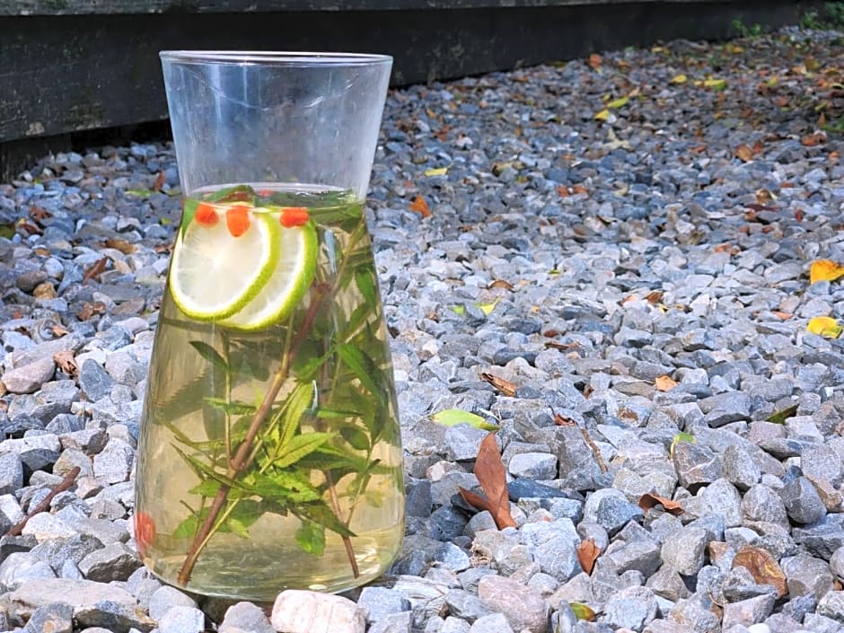 Taiwan Reishi Expert Bed and Breakfast