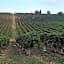 Agriturismo Borgo delle Vigne