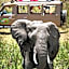 Mara Leisure Camp
