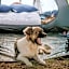 Tasman Holiday Parks - Beachaven
