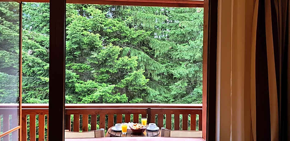 Hotel Yastrebets Wellness & Spa