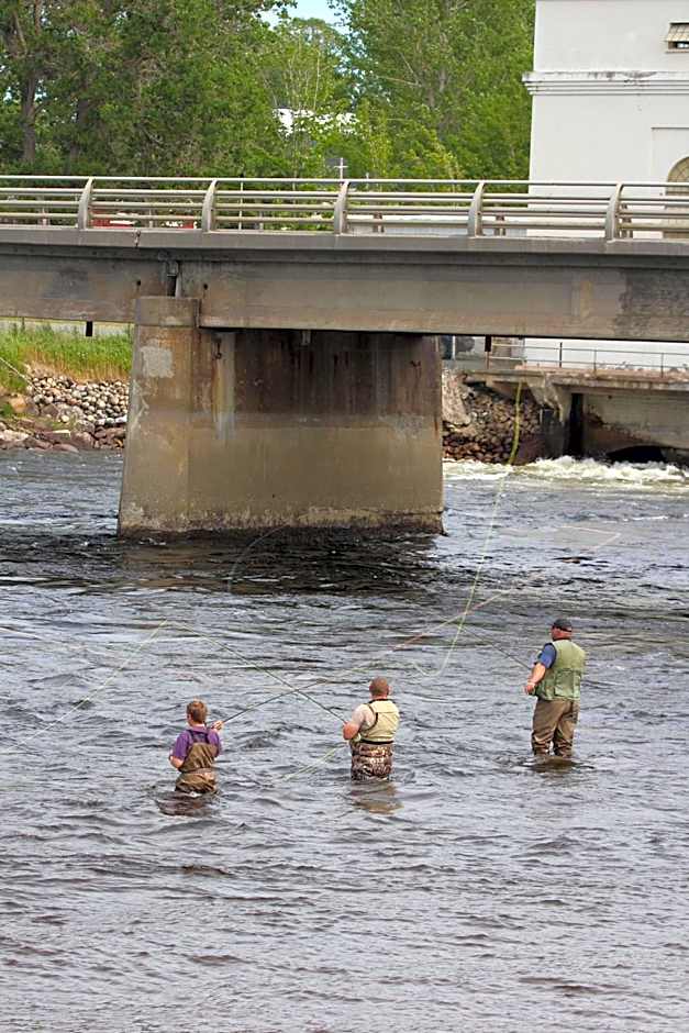 Deer Lake Horizon Hotel