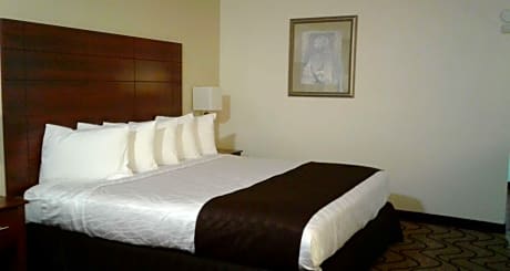 suite-1 king bed, non-smoking, balcony, wireless high-speed internet, microwave and refrigerator, full breakfast