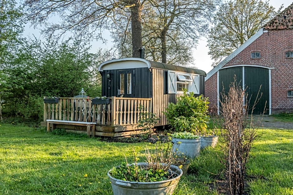 Pipowagen Lidewei Groningen Westerwolde unieke ligging met eigen tuin en vrij uitzicht over veld naar natuurgebied