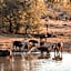 MILIMA Big 5 Safari Lodge
