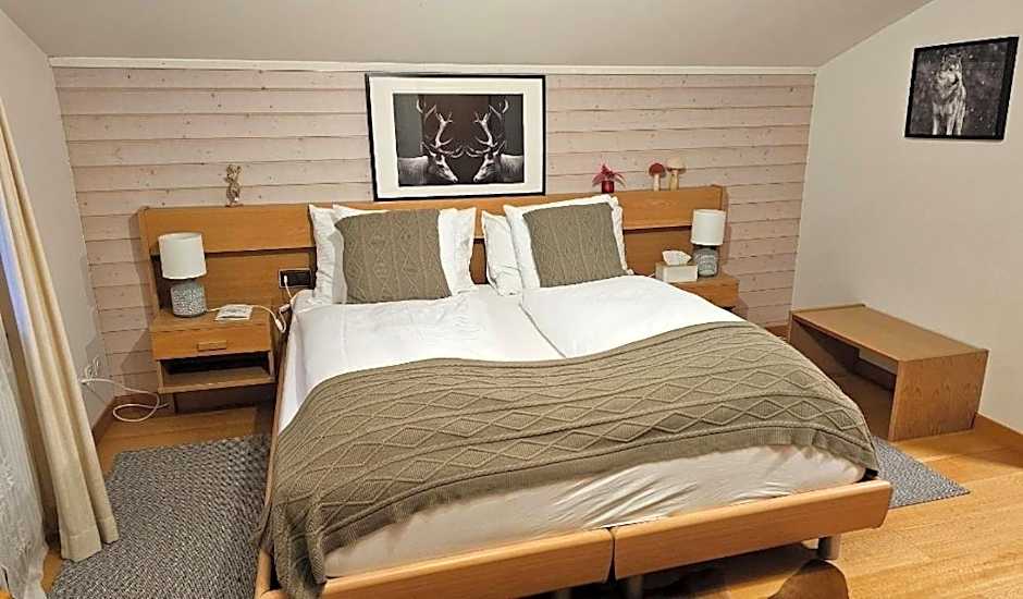 Alpina Boutique Hotel Interlaken - Ringgenberg - Adults only !