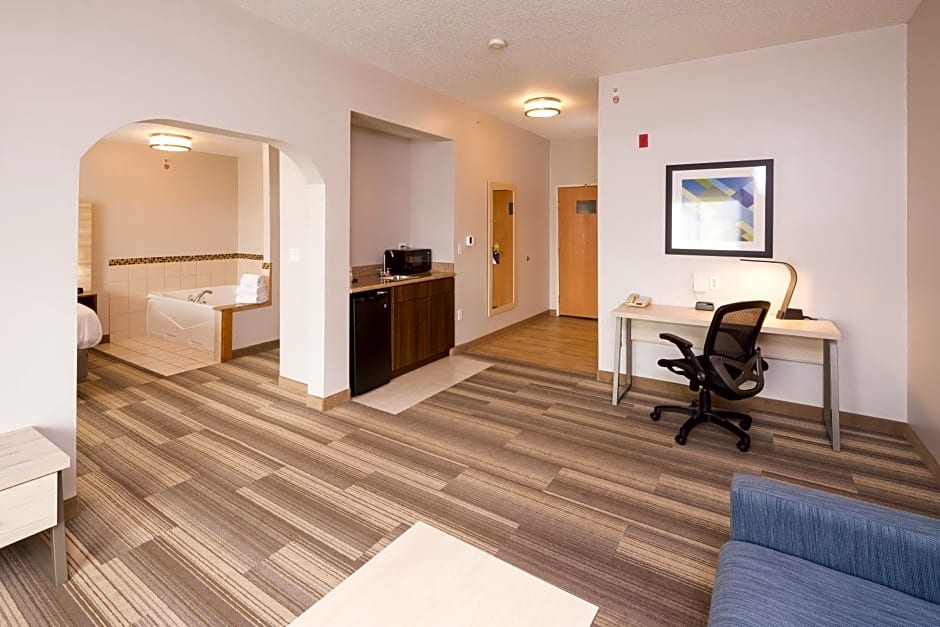 Holiday Inn Express Hotel & Suites Grand Blanc